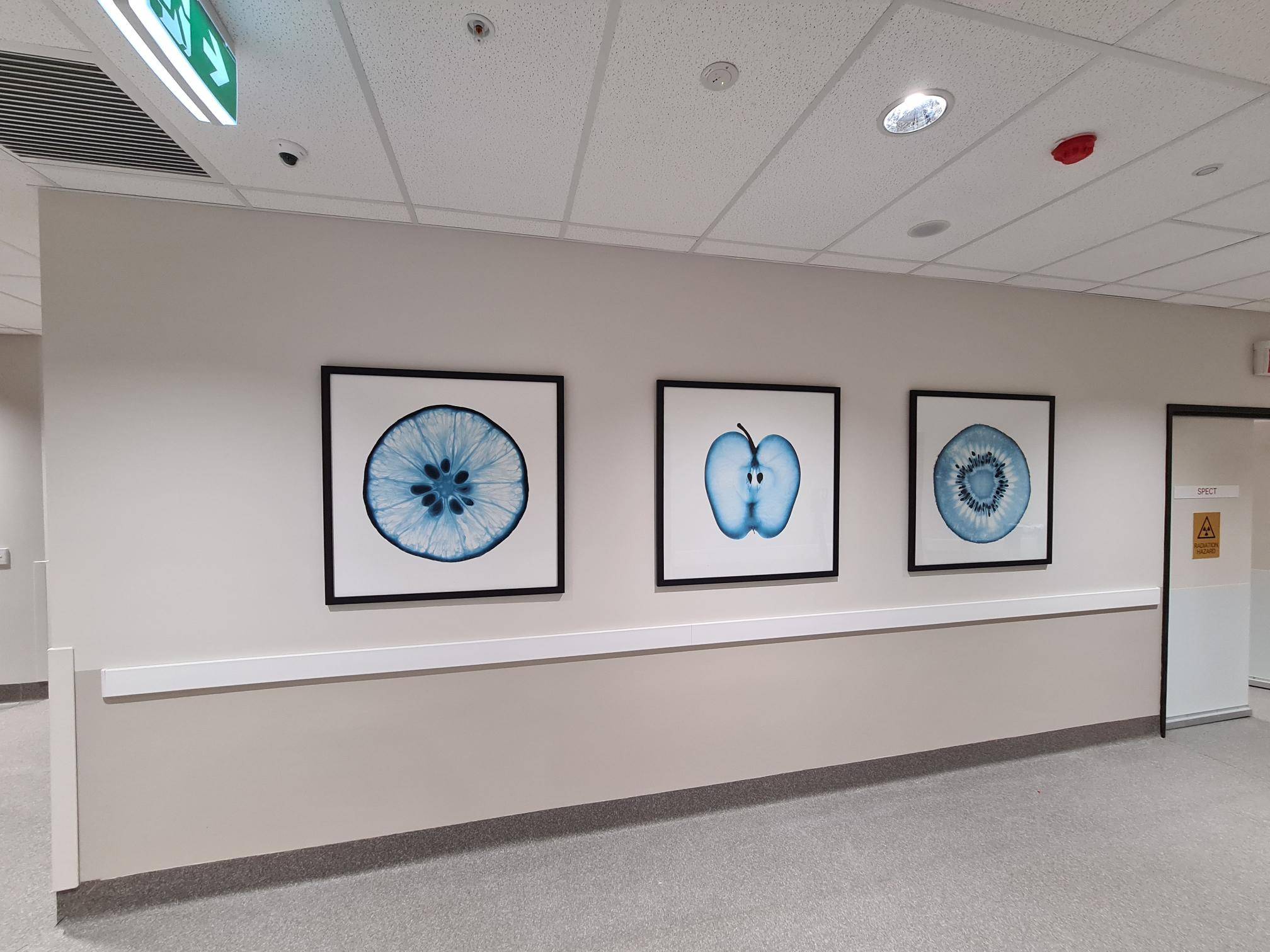 Lumus Northern Custom Picture Frames